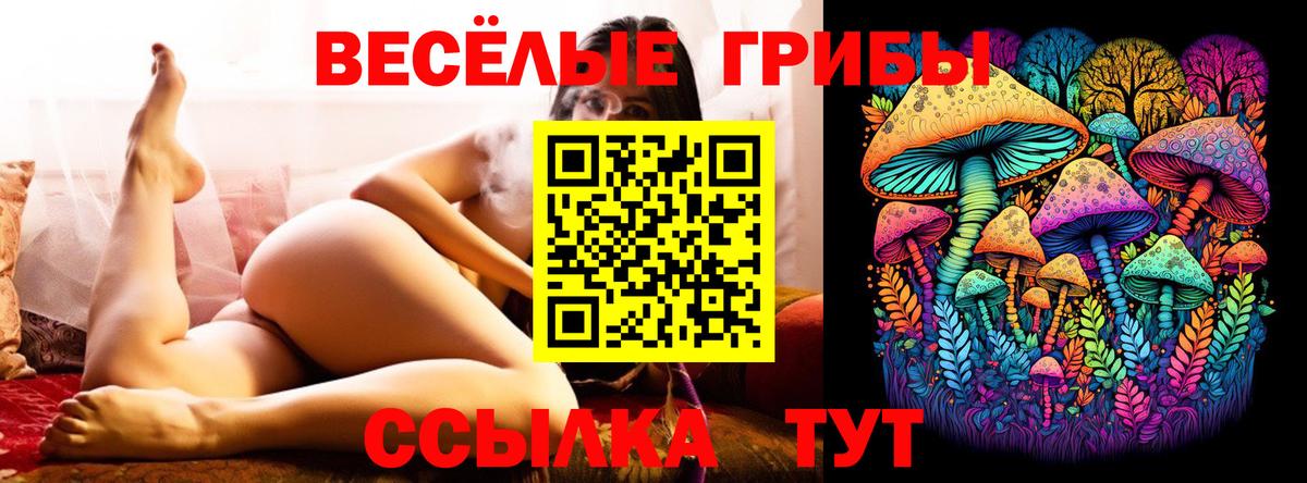 Галлюциногенные грибы ЛСД Шахты